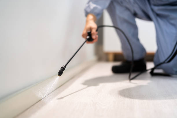 Licensed Pest Control service in Woodway, WA - Show Me Pest Control