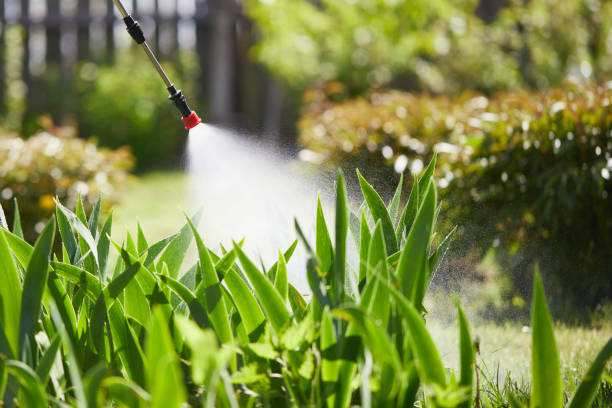 Tamper-Resistant Bait Stations for Rodents in Woodway