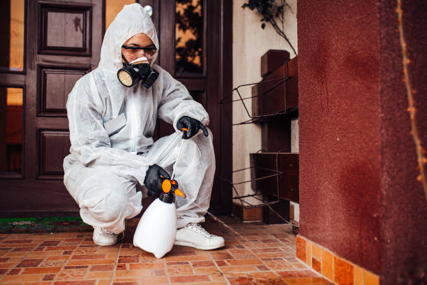 Attic and Crawl Space Rodent Treatment in Woodway