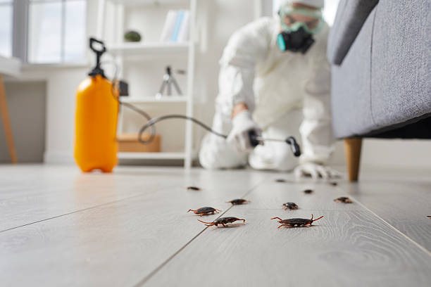 Commercial Rodent Management in Woodway